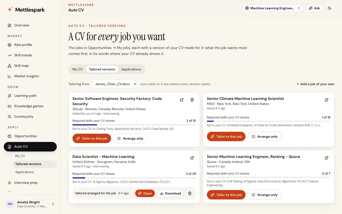 A version of your CV for every job you want